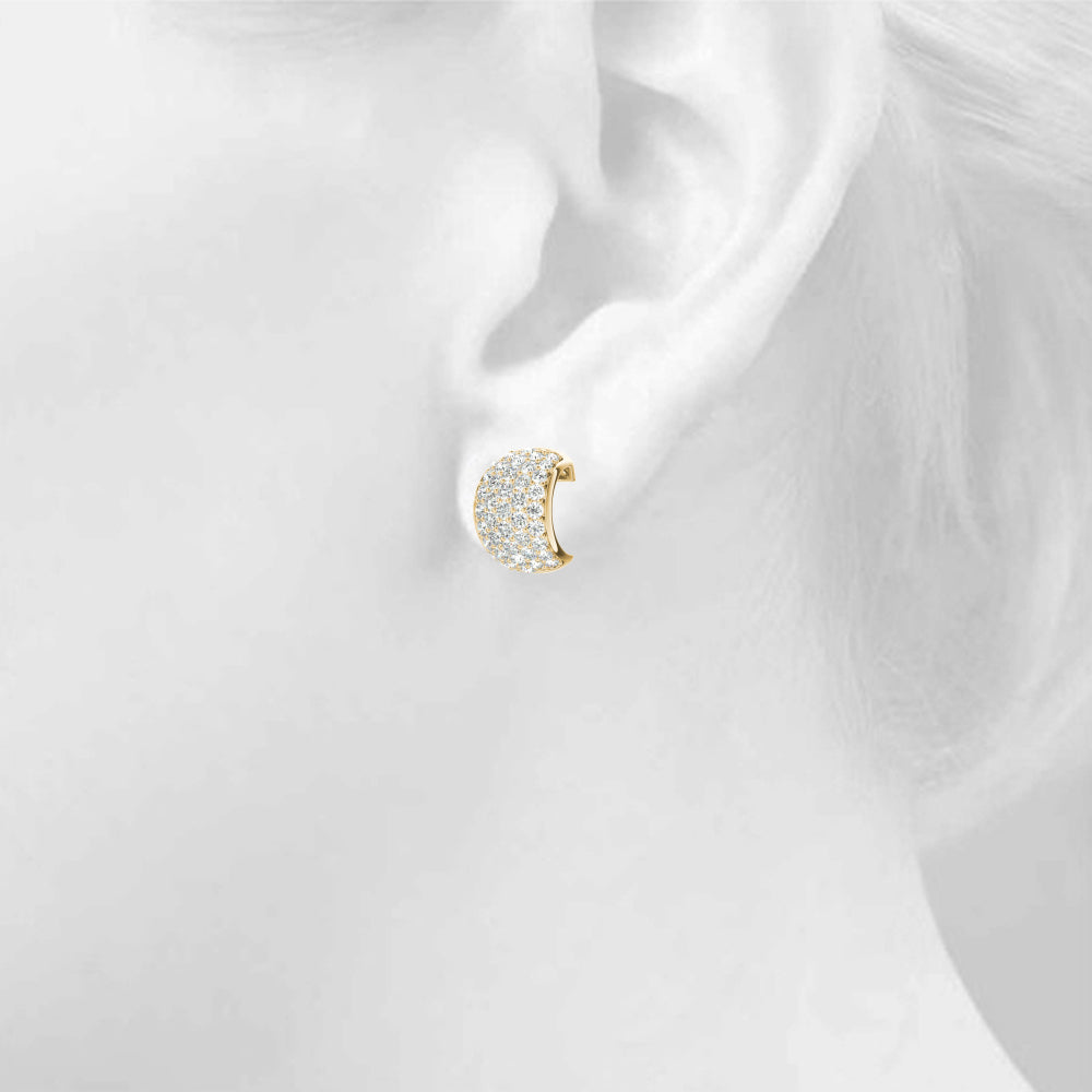Huggie Earring
